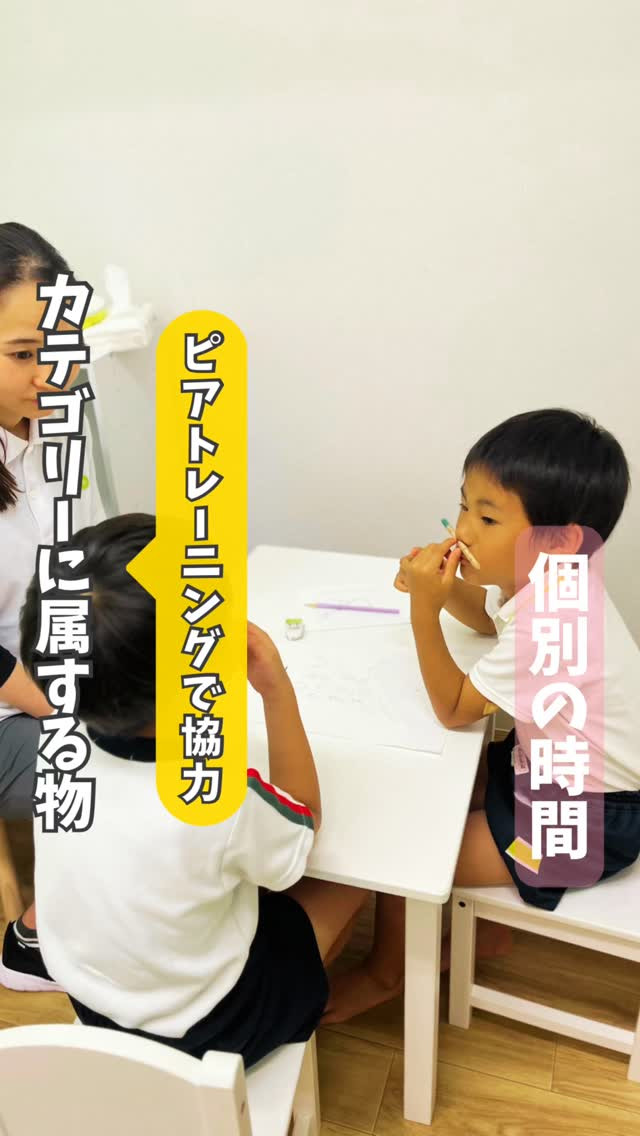 【ピアトレーニングで協力】カテゴリーに属する物